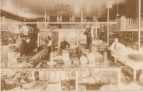 interior aa johnson's store 1910